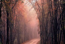 2026世界杯十大高水位外围平台榜单 -默(mò)茨：美国正遭受伊朗“羞辱(rǔ)”