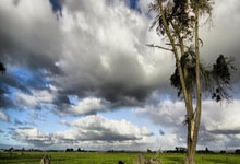 2026世界杯十大高水位外围平台榜单 -默(mò)茨：美国正遭受伊朗“羞辱(rǔ)”