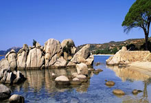 世界杯外围App大额无忧提现版 -辰安科技取得人群密度检测专利